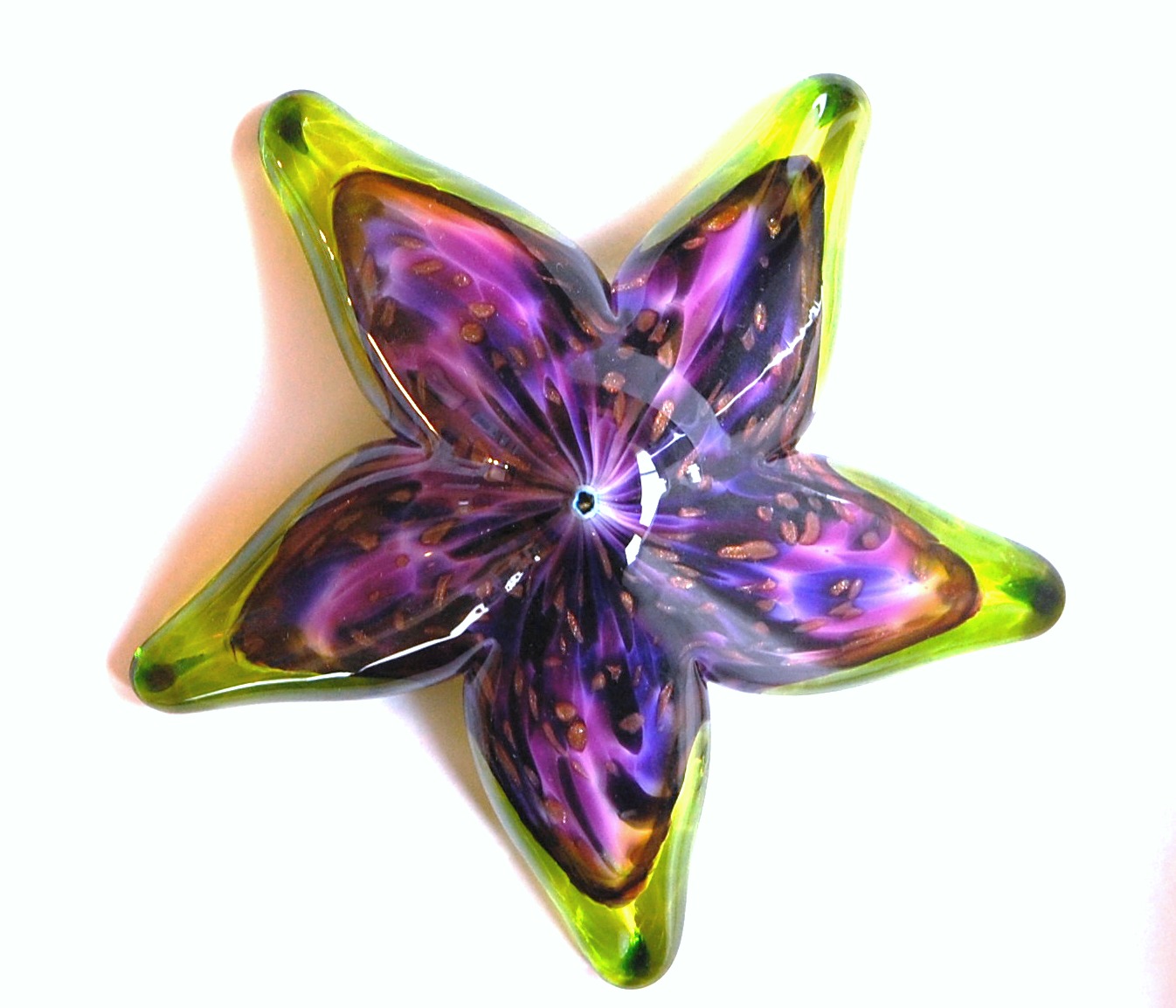 sea star in lime and purple